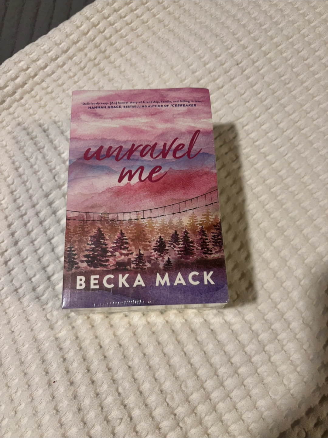 Becka Mack Playing for Keeps Series Books - photo 2