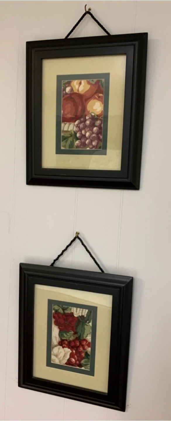 Framed Fruit Picture Wall Decor
