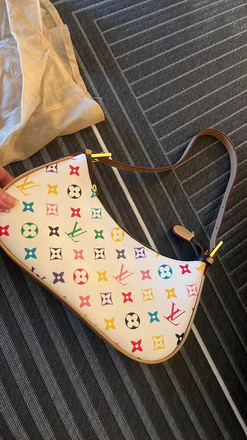 Louis Vuitton Multicolor Monogram Bag