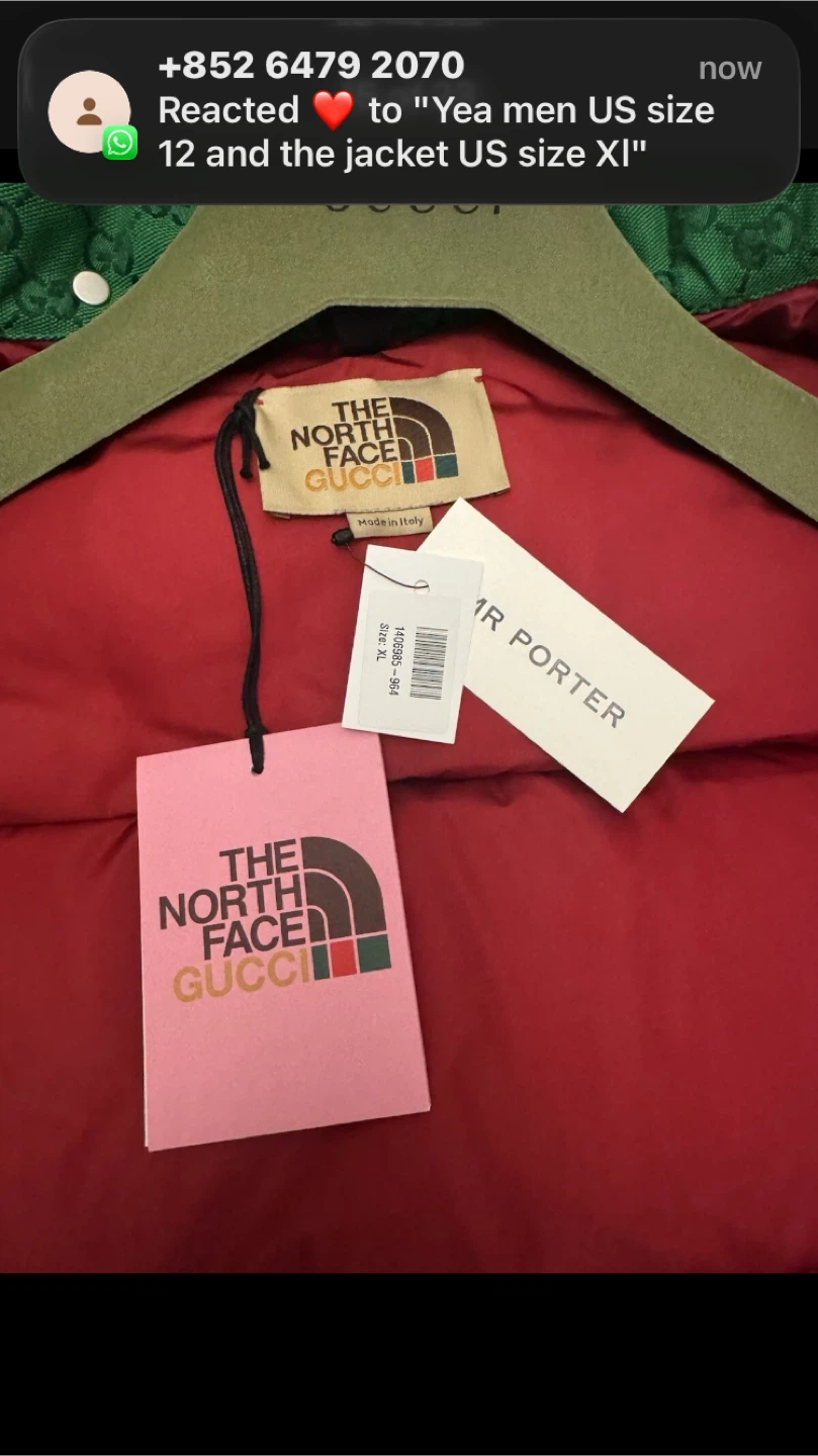 Gucci x The North Face Puffer Jacket - Size XL - photo 5