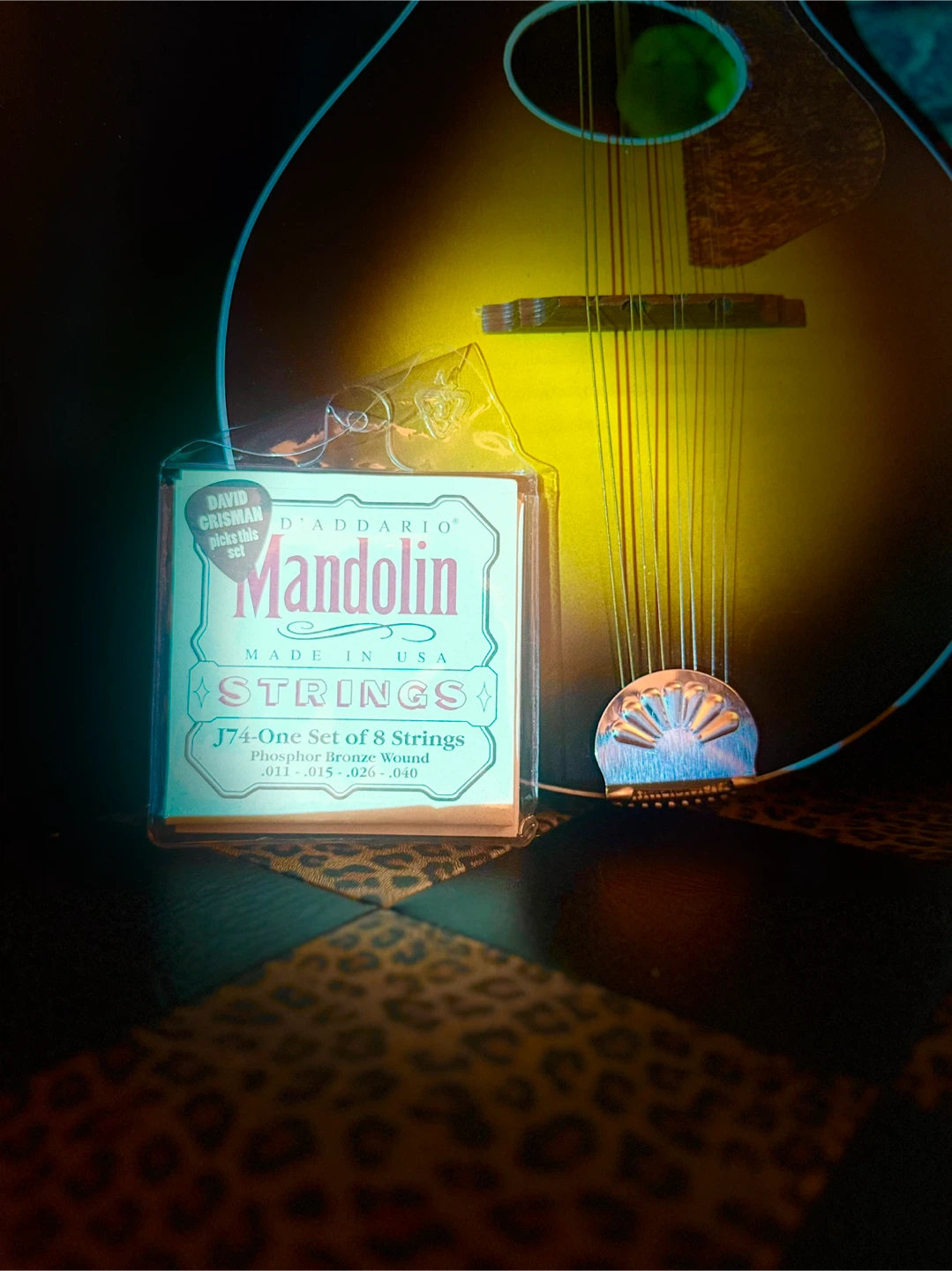 Kay Mandolin - photo 4