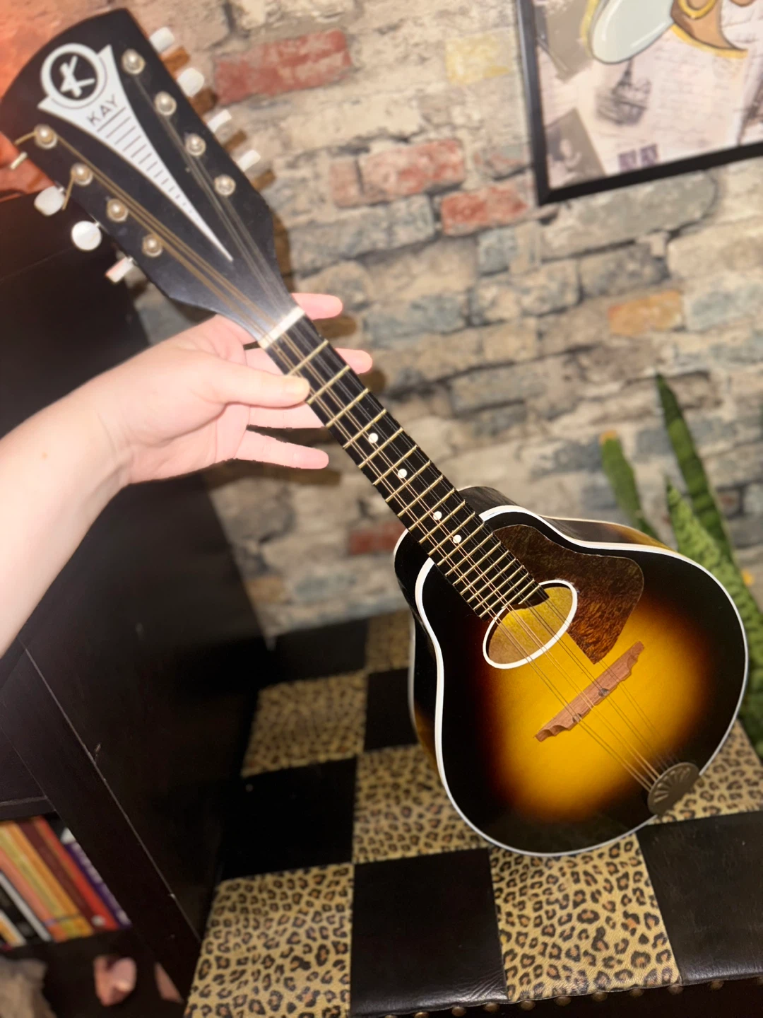 Kay Mandolin - photo 5