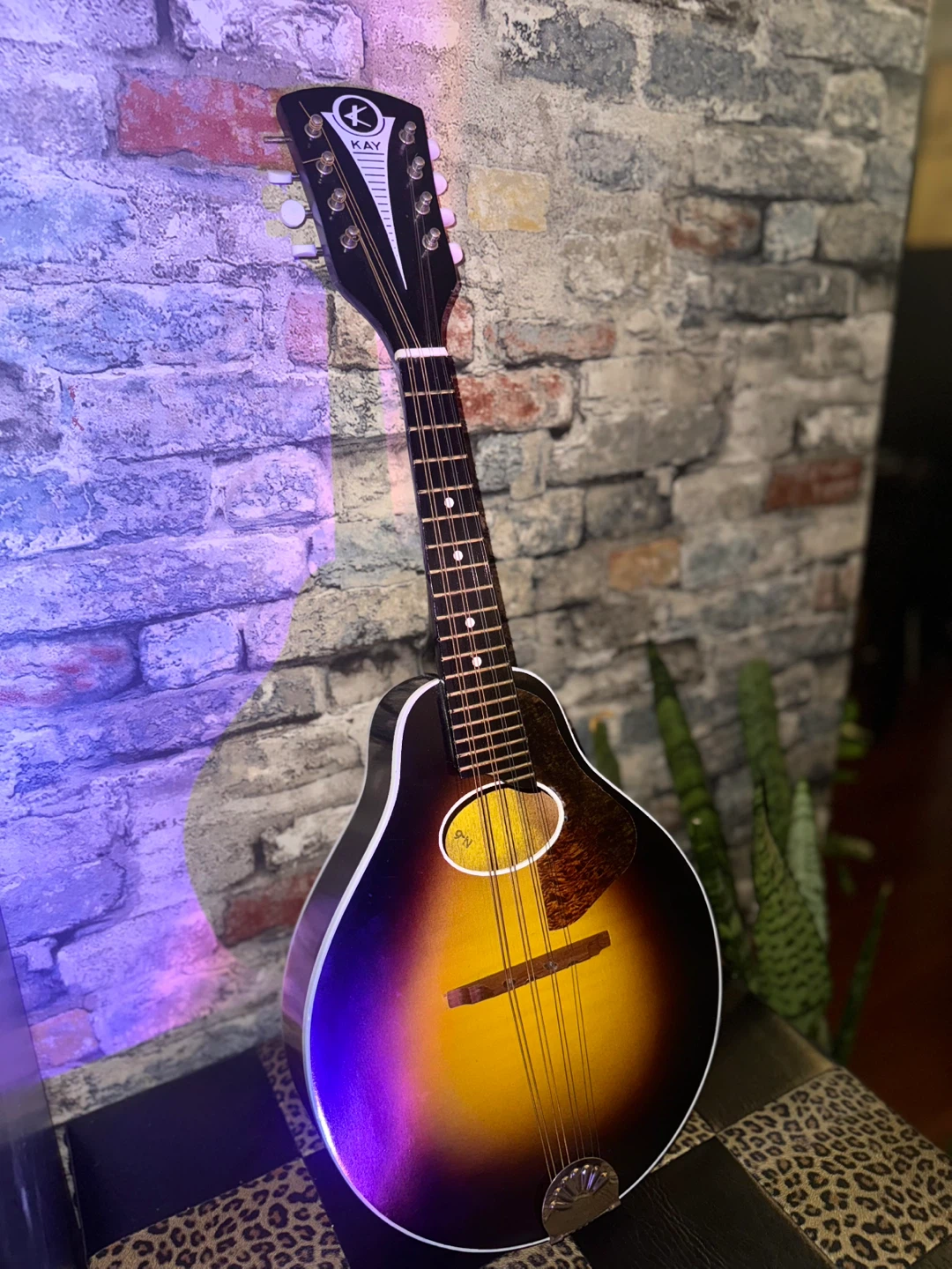 Kay Mandolin