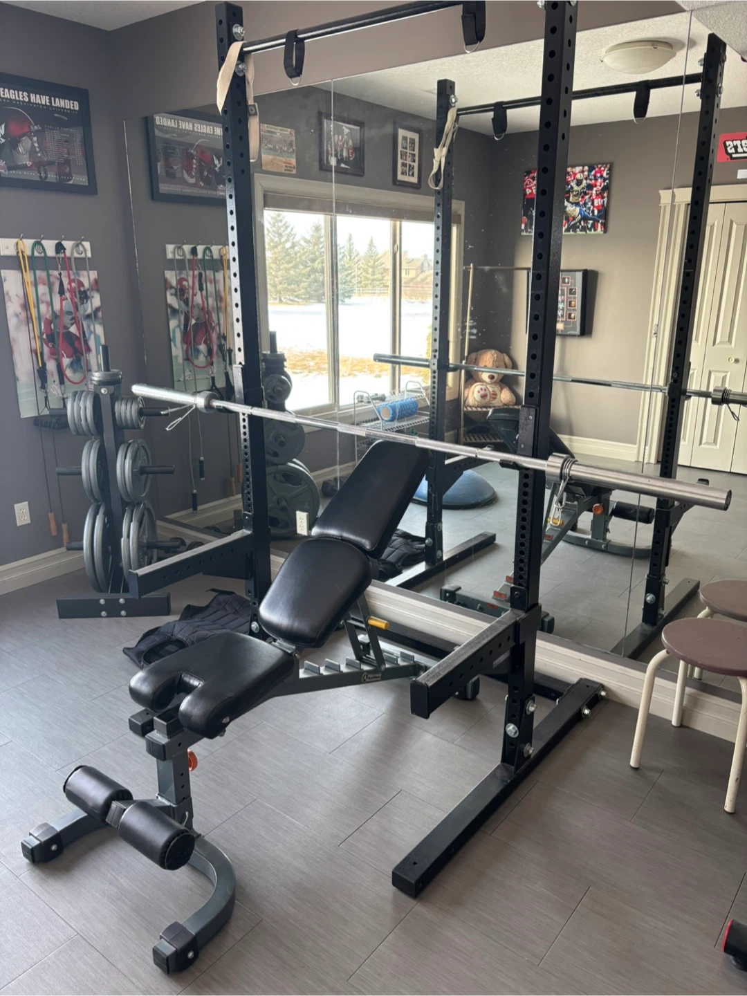 Weight Plate Tree and Home Gym Set