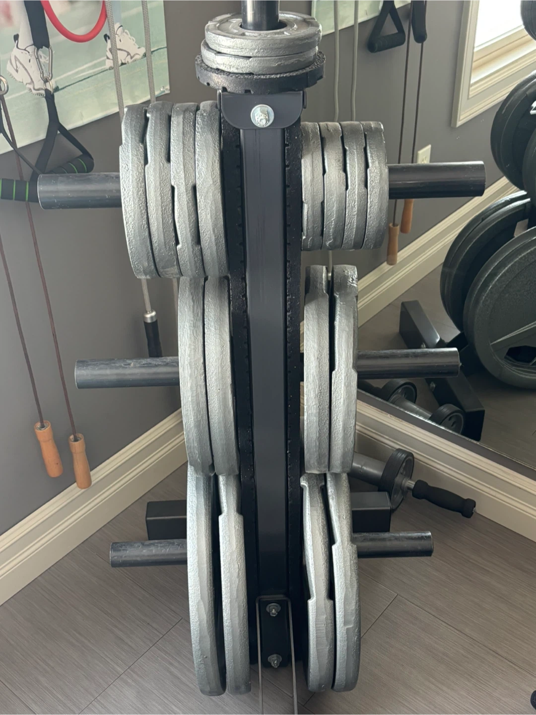 Weight Plate Tree and Home Gym Set - photo 2