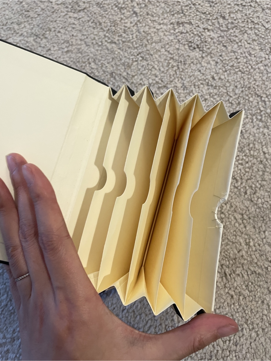 Moleskine Black Notebook
