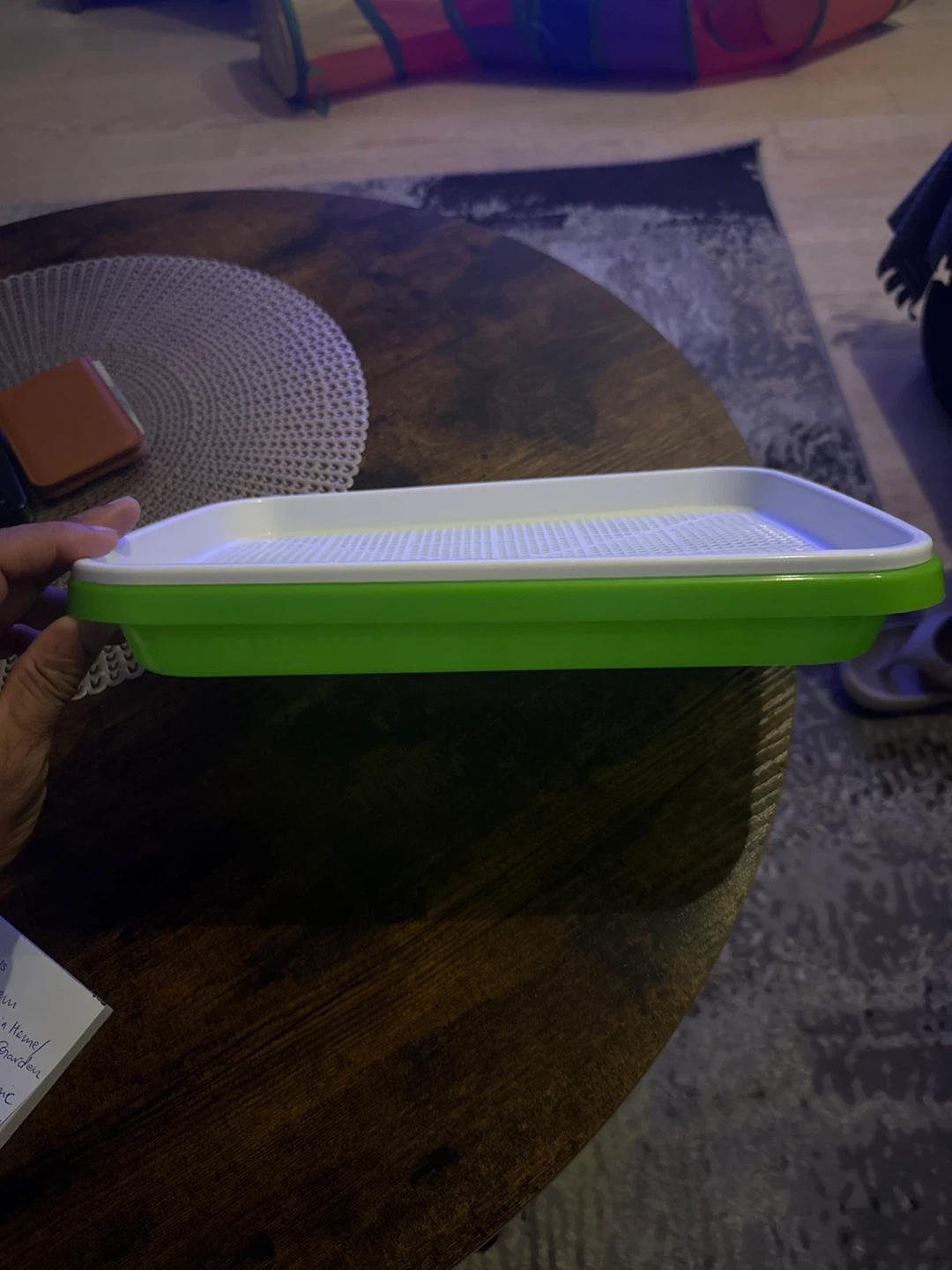 Easy Sprout Seed Sprouter Tray 🥕 - photo 2