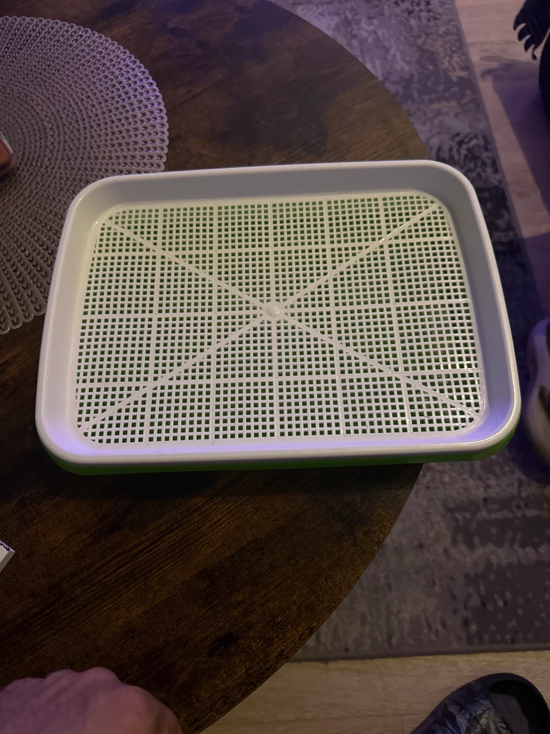 Easy Sprout Seed Sprouter Tray 🥕