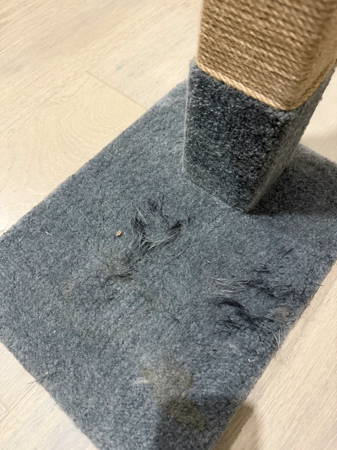 Cat Scratching Post