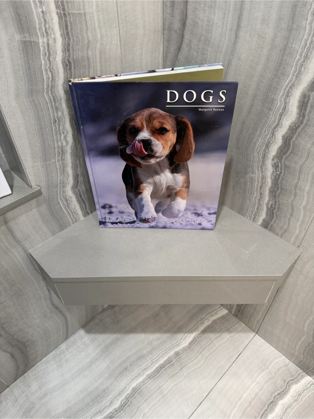DOGS by Margaret Keenan