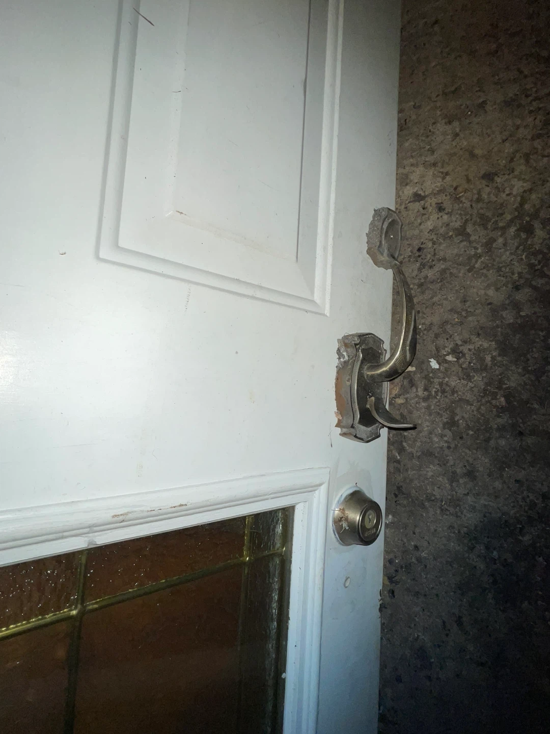 Exterior Door with Glass Window - photo 2