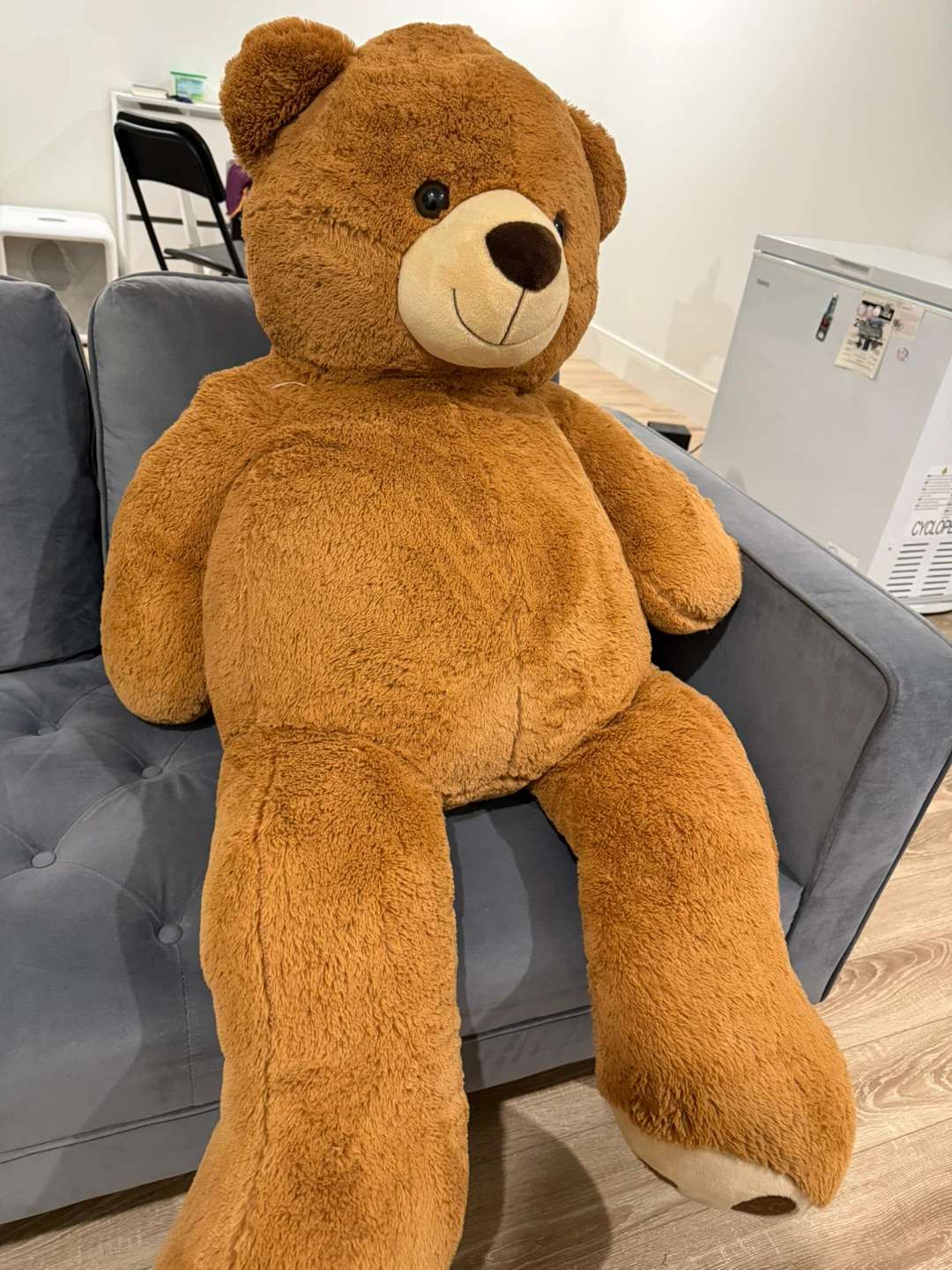 Plush Brown Teddy Bear - Ages 3+