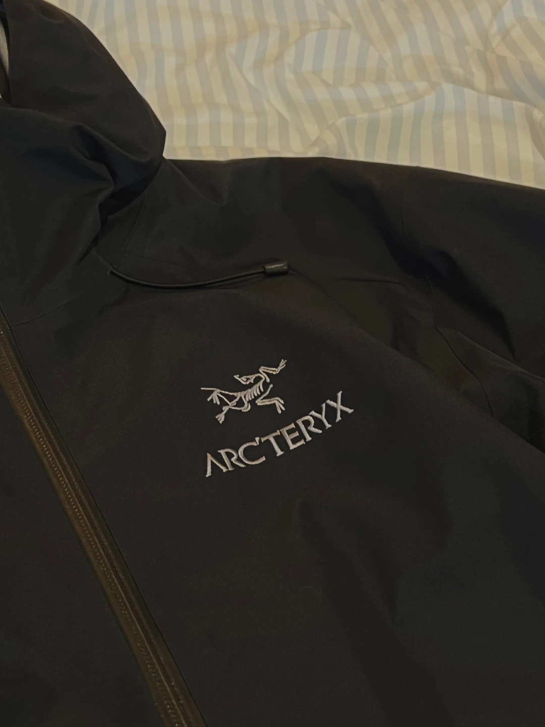Arc’teryx Beta LT Jacket – Older Logo Version - photo 2