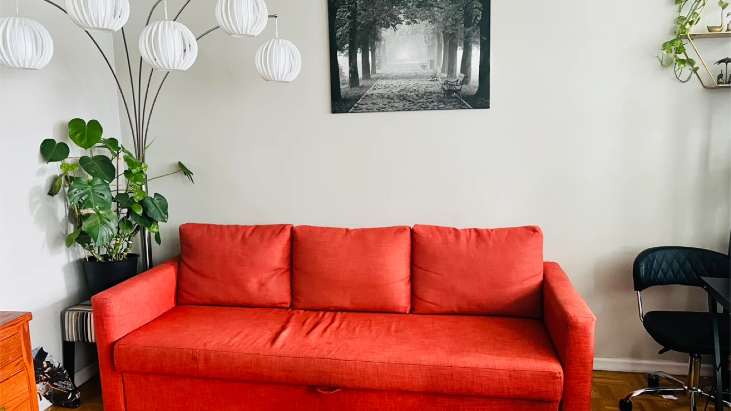 IKEA FRIHETEN sofa-bed (Faringe brown-orange)