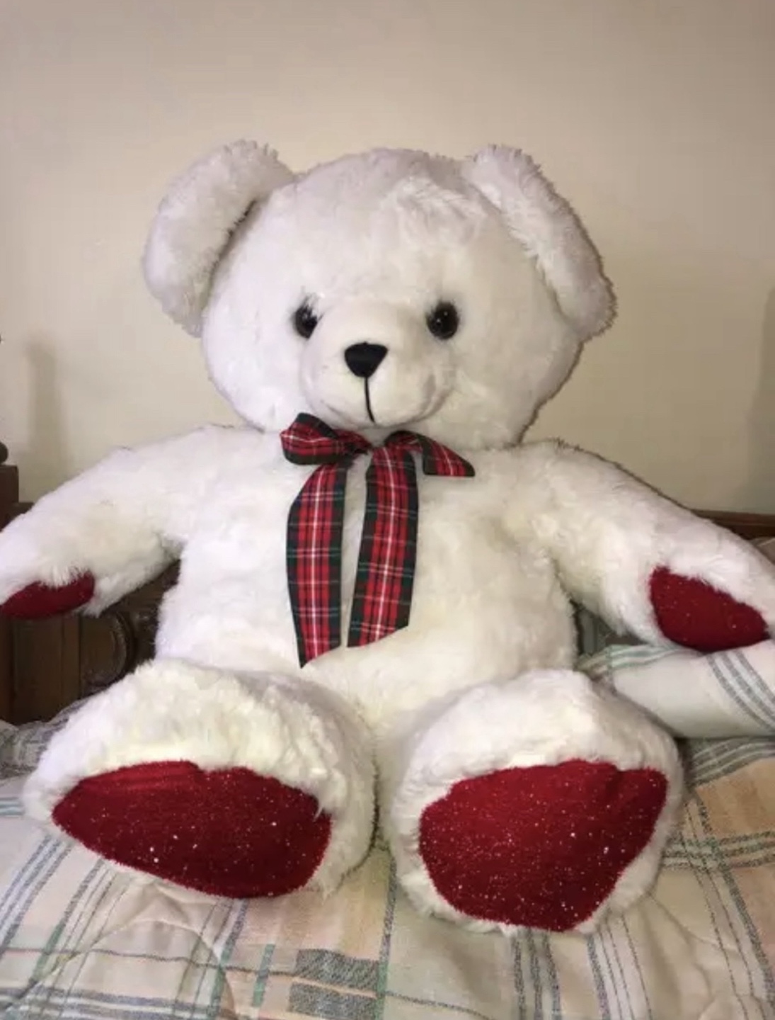 White Plush Teddy Bear