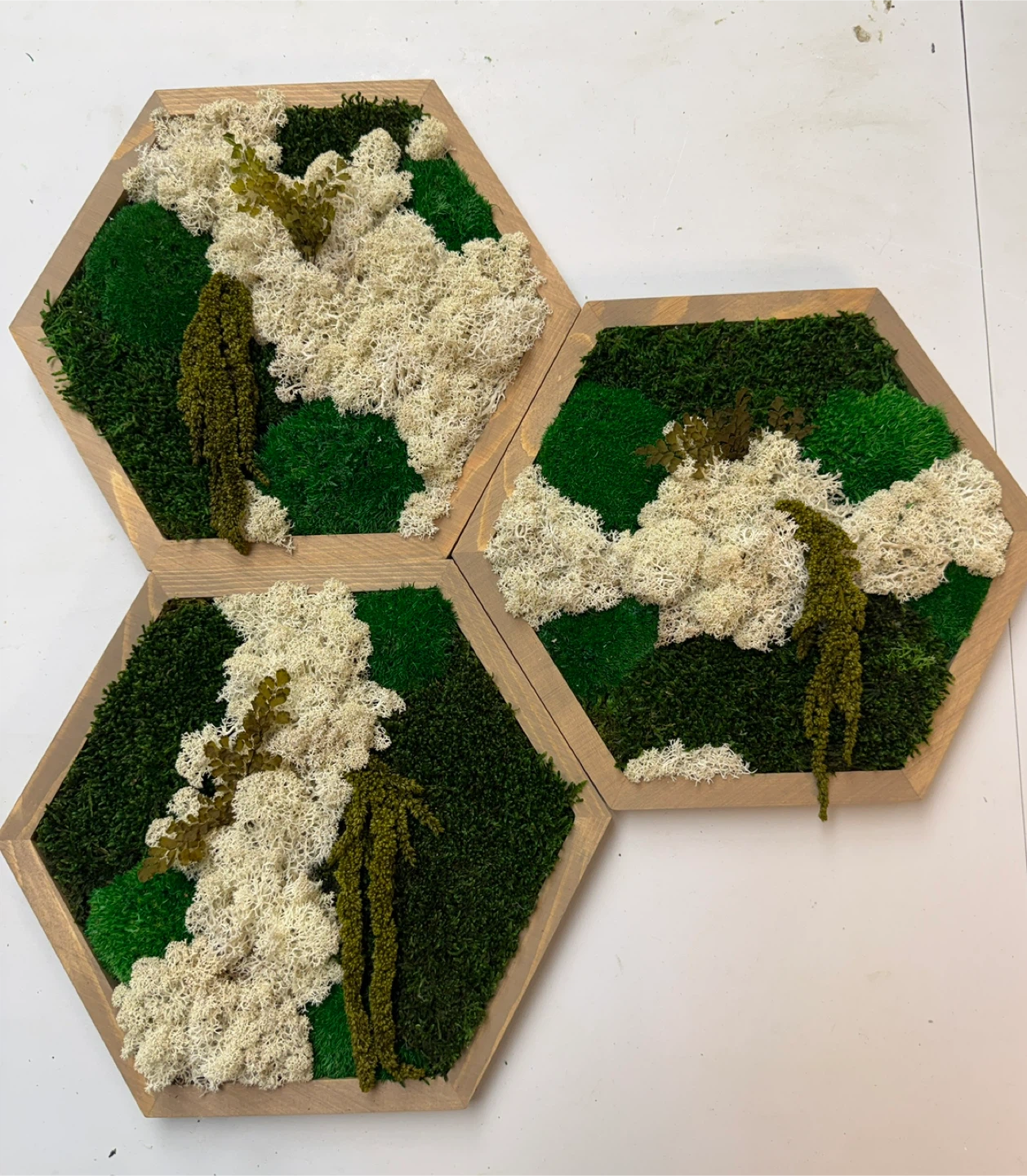 Moss Wall Art Hexagon 3 Wood Frames 3 Set - photo 2