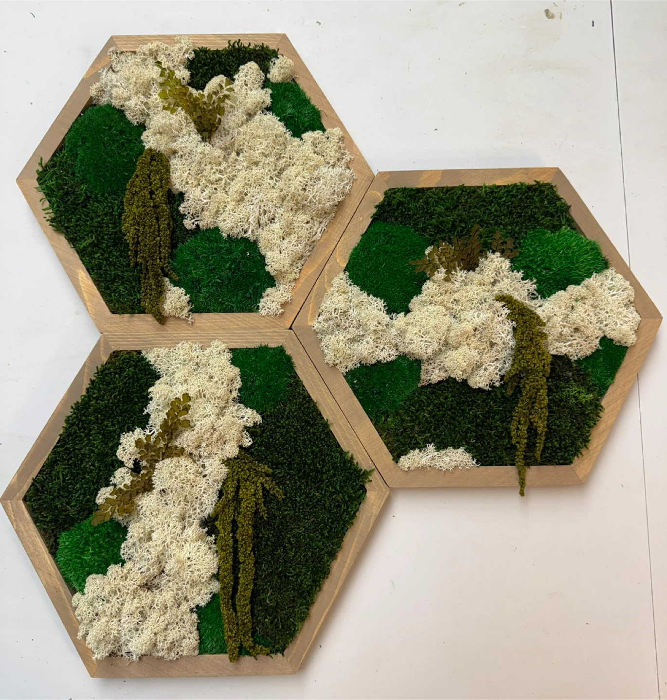 Moss Wall Art Hexagon 3 Wood Frames 3 Set