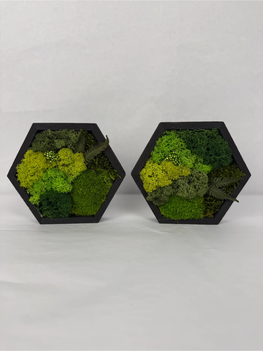 Hexagon Moss Wall Art - Set of 2 - photo 3