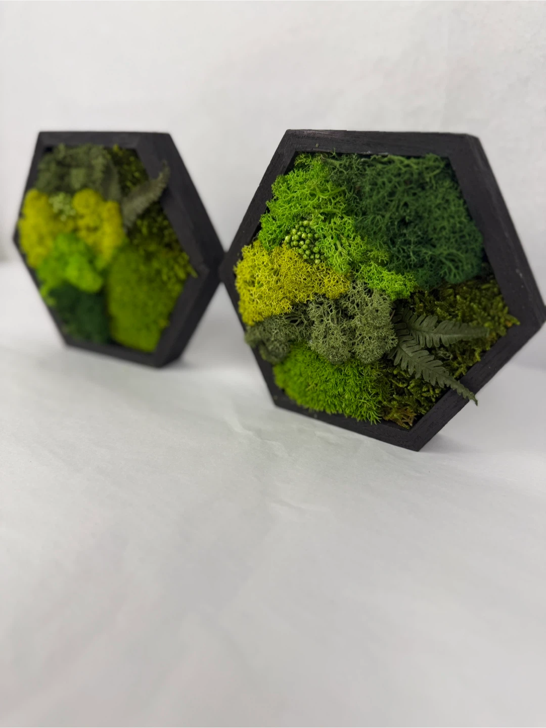 Hexagon Moss Wall Art - Set of 2
