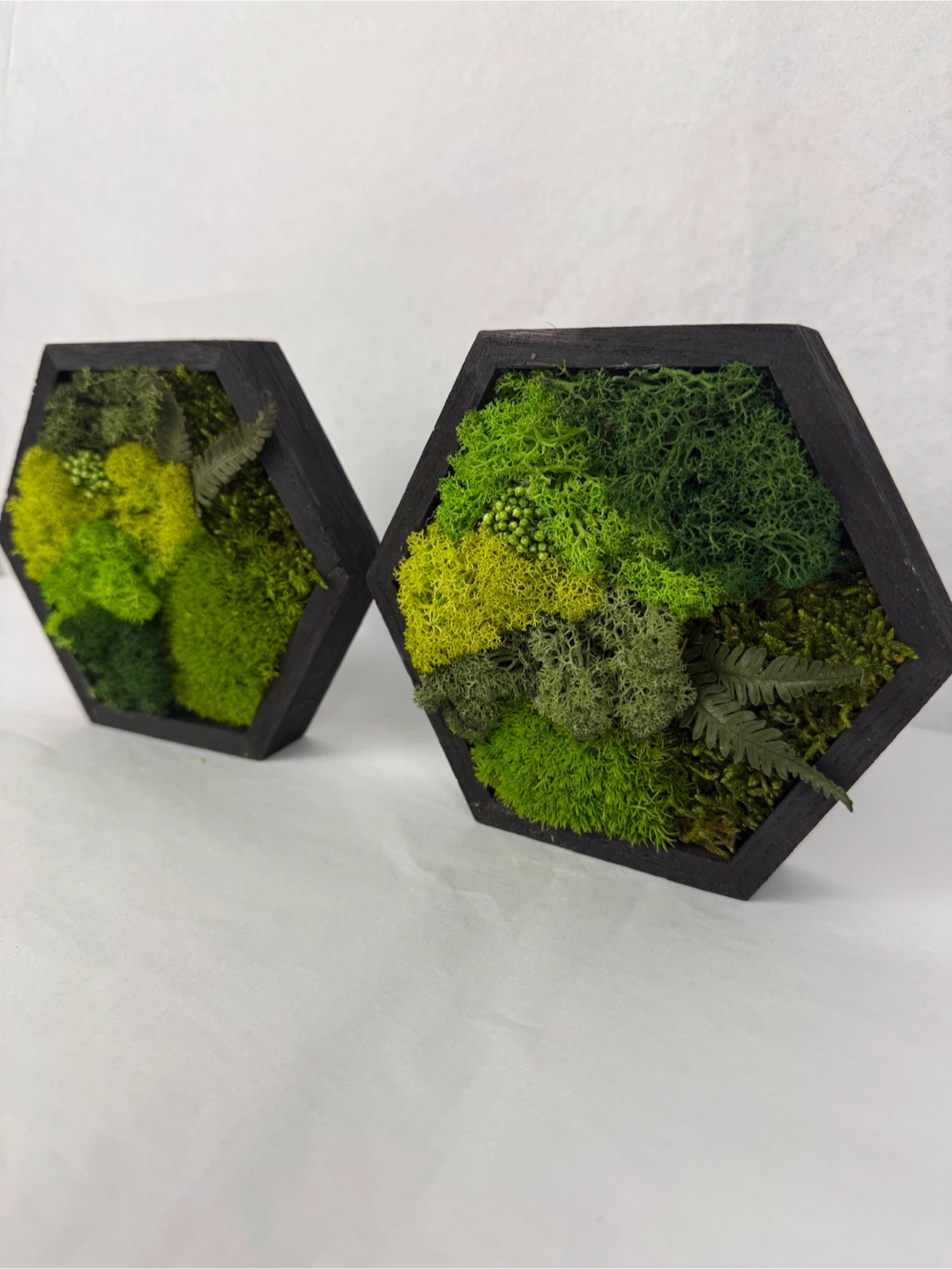 Hexagon Moss Wall Art - Set of 2 - photo 2