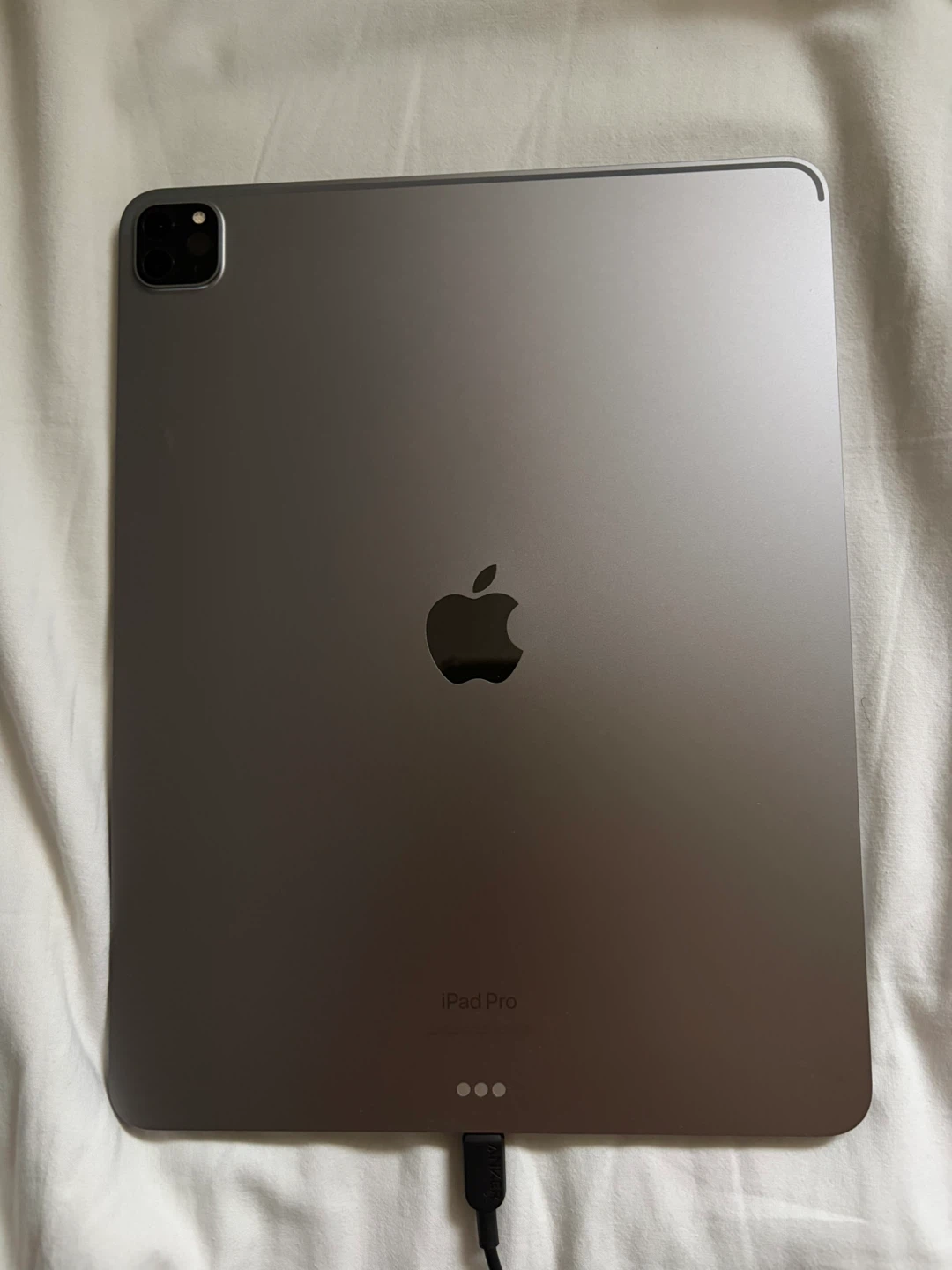 iPad Pro with Case and Apple Pencil (100)