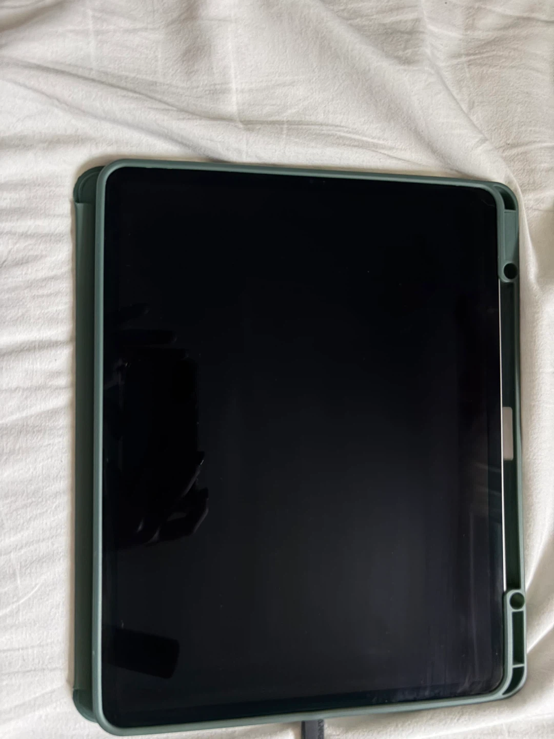 iPad Pro with Case and Apple Pencil (100) - photo 3