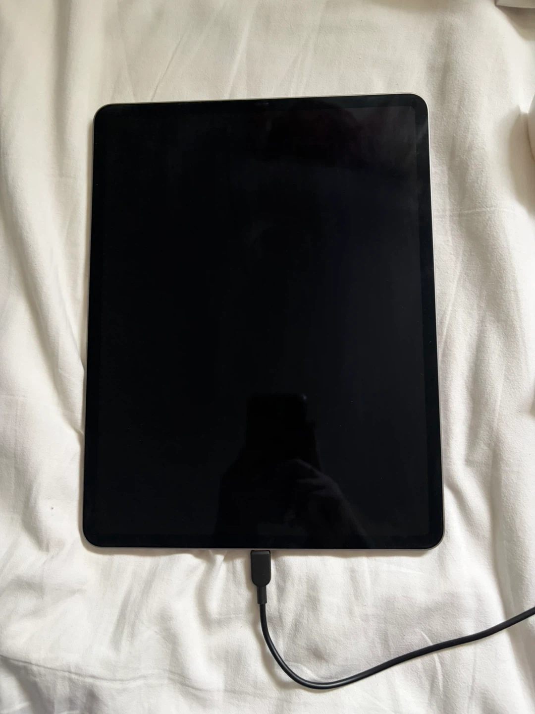 iPad Pro with Case and Apple Pencil (100) - photo 2