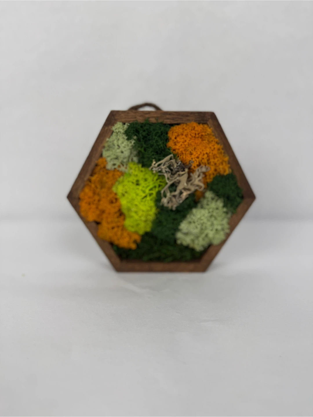 Hexagon Moss Wall Art - photo 2