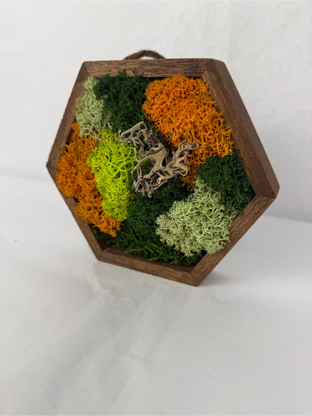Hexagon Moss Wall Art