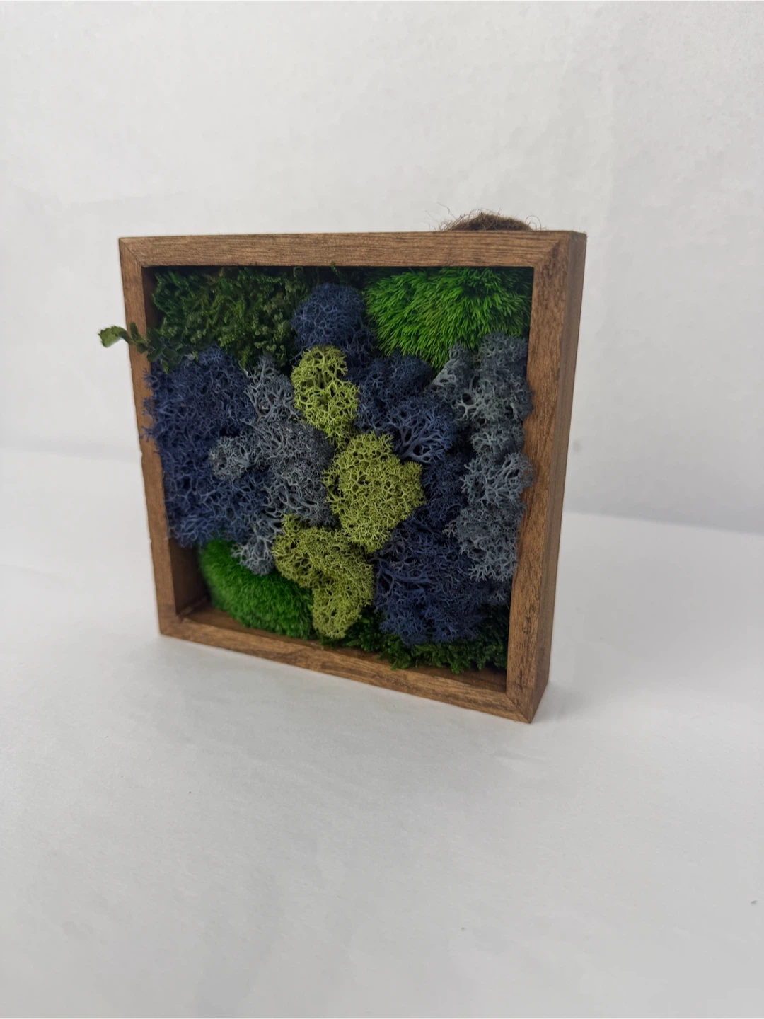 Moss Wall Art in Wooden Frame - photo 2