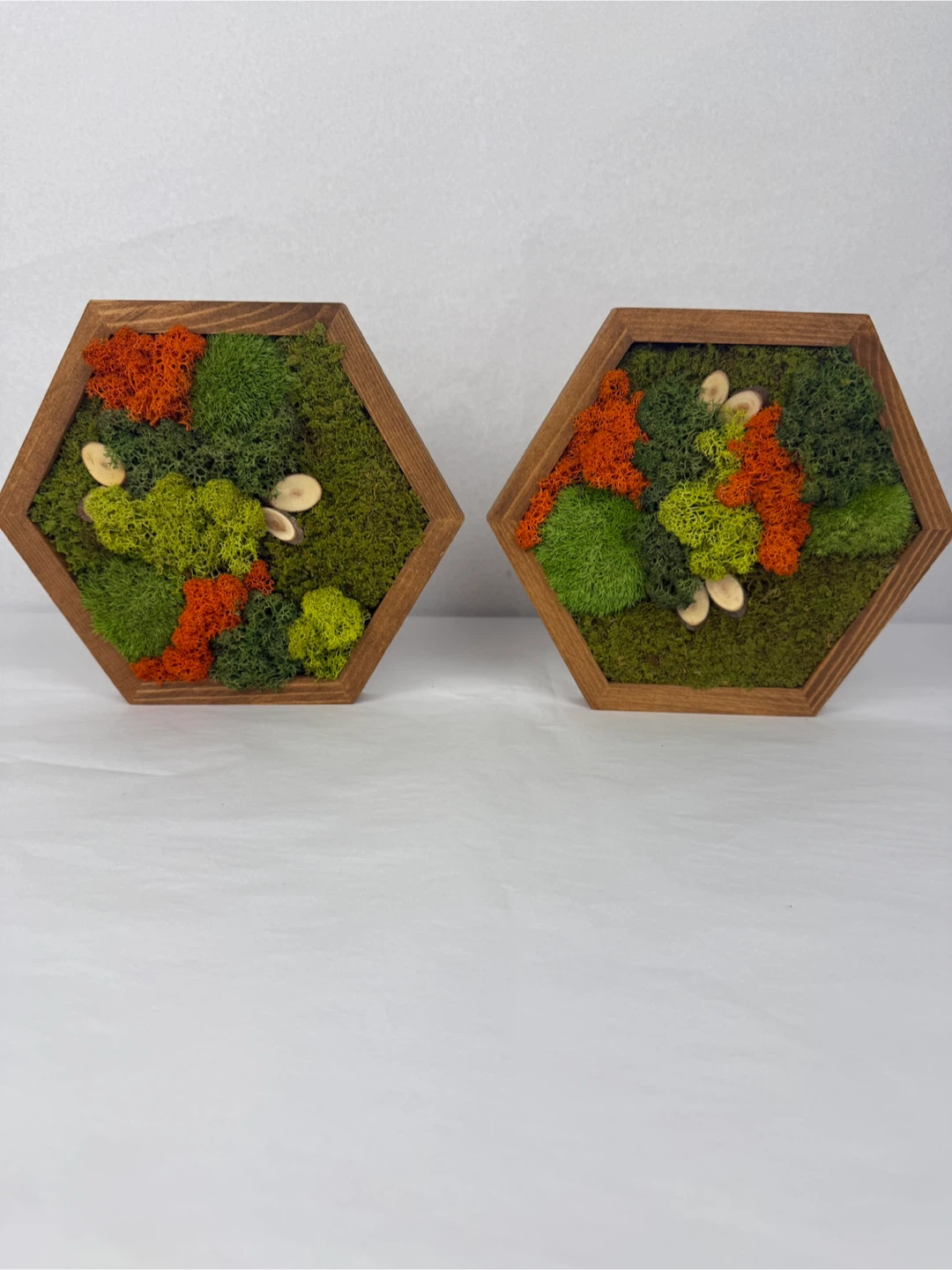 Hexagon Moss Wall Art Wood Frames - Set of 2