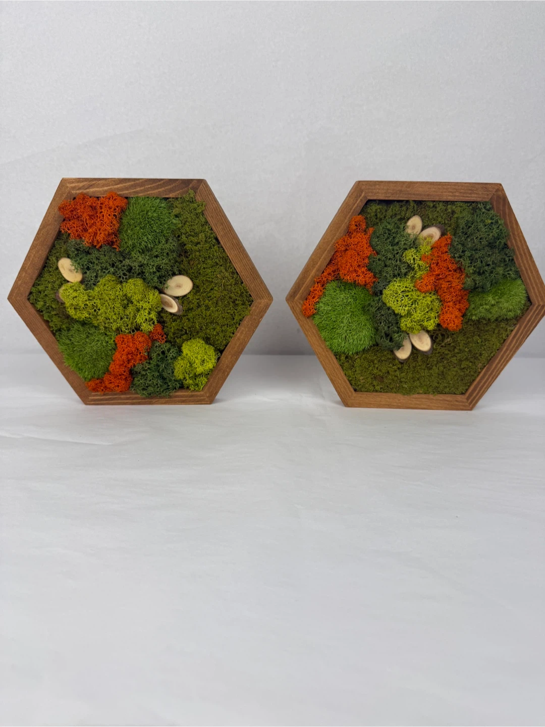Hexagon Moss Wall Art Wood Frames - Set of 2 - photo 2