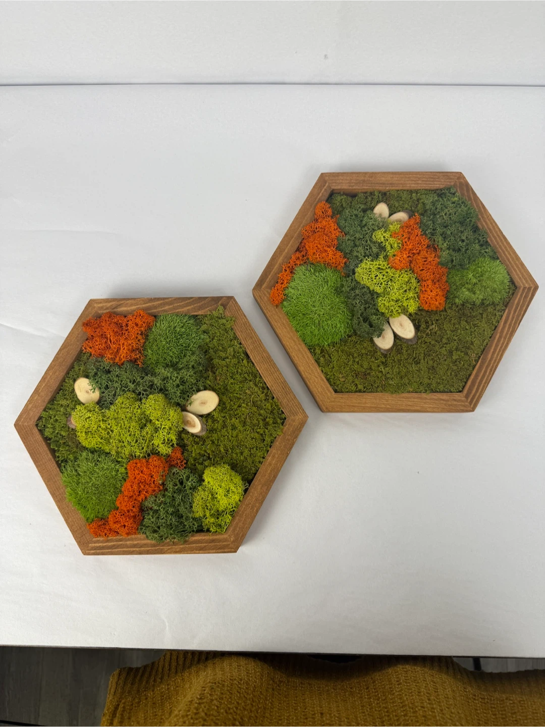 Hexagon Moss Wall Art Wood Frames - Set of 2 - photo 5