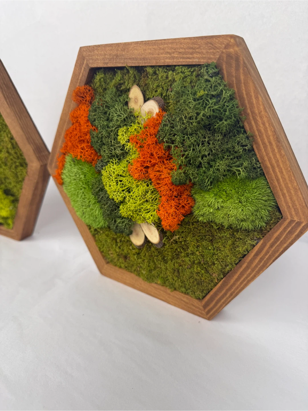 Hexagon Moss Wall Art Wood Frames - Set of 2 - photo 4