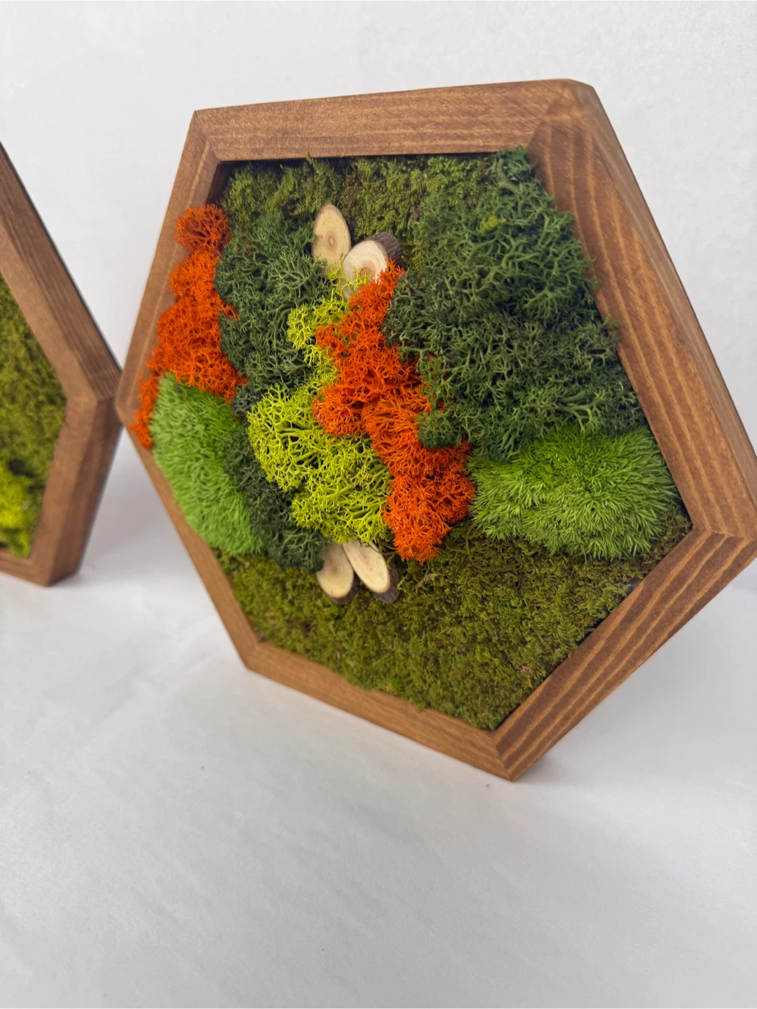 Hexagon Moss Wall Art Wood Frames - Set of 2 - photo 3