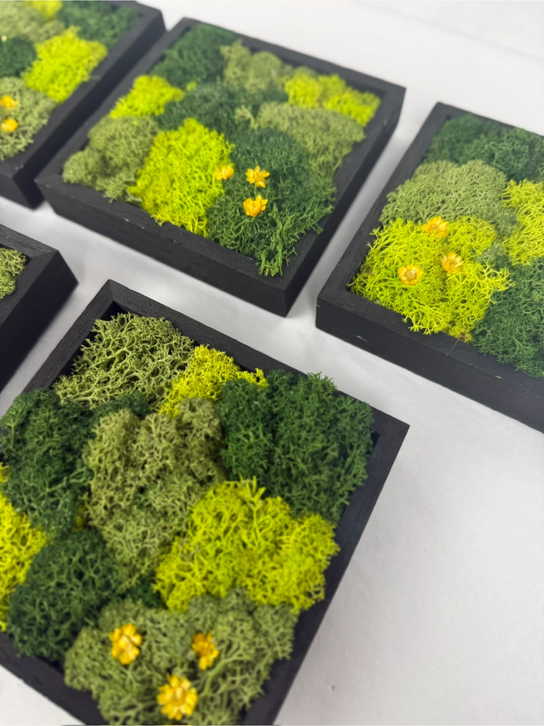 Set of 7 Moss Wall Art Wood Panels - photo 3