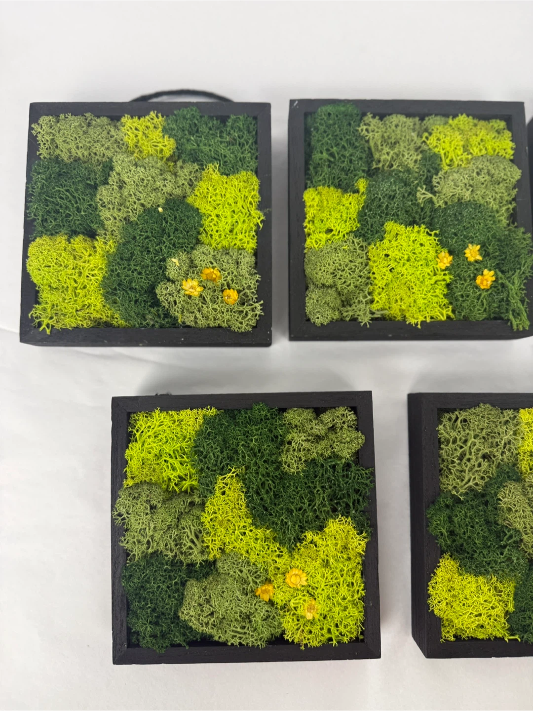 Set of 7 Moss Wall Art Wood Panels