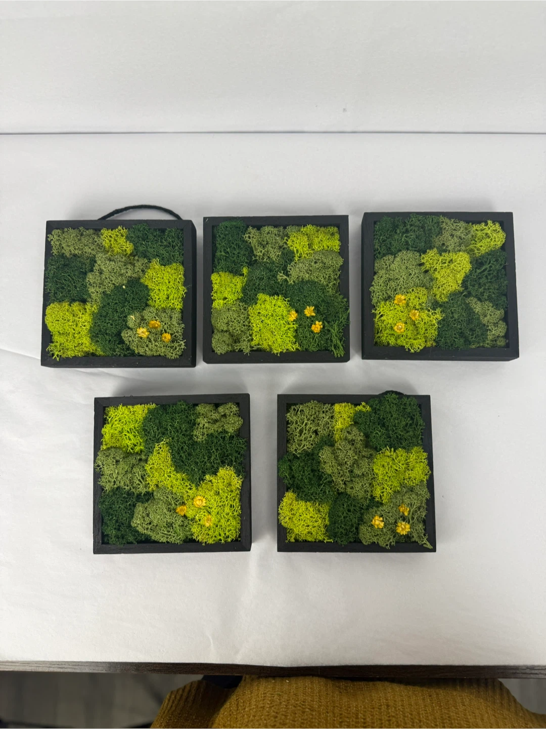 Set of 7 Moss Wall Art Wood Panels - photo 2