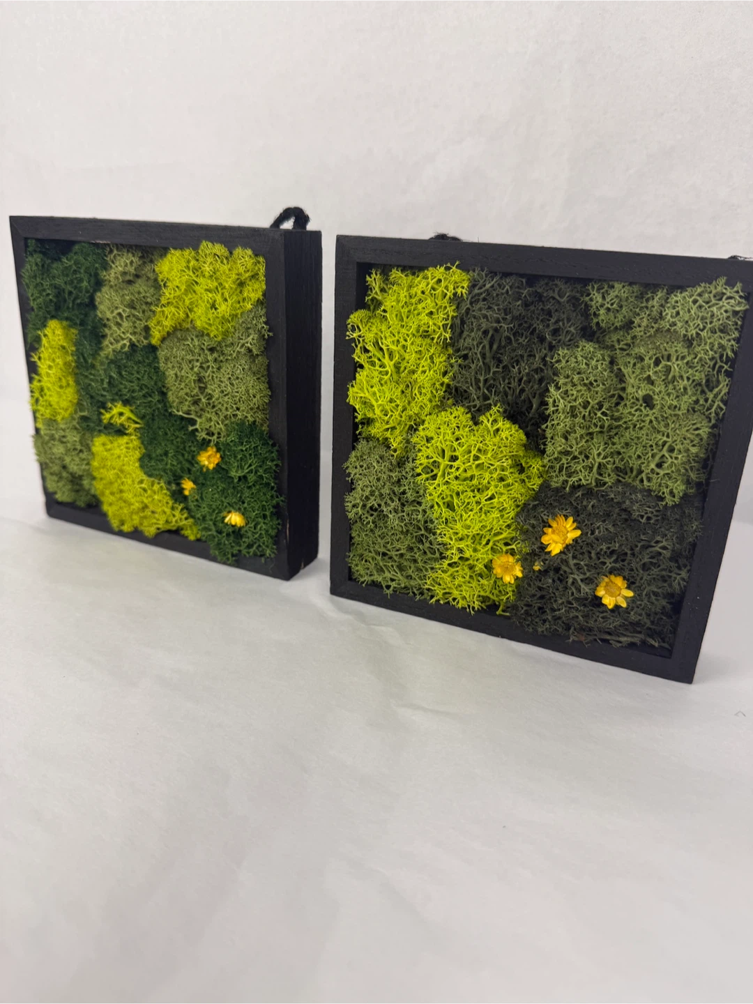 Set of 7 Moss Wall Art Wood Panels - photo 5