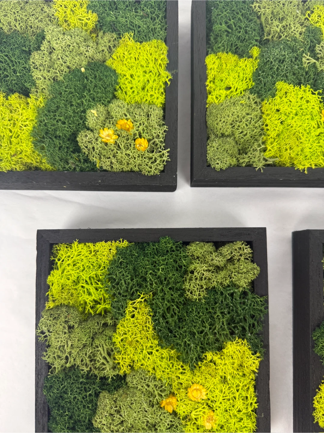 Set of 7 Moss Wall Art Wood Panels - photo 4