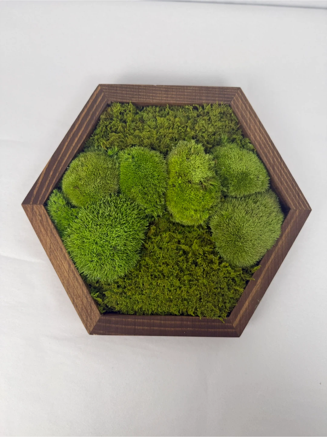 Moss Wall Art - Wood Frame - photo 5
