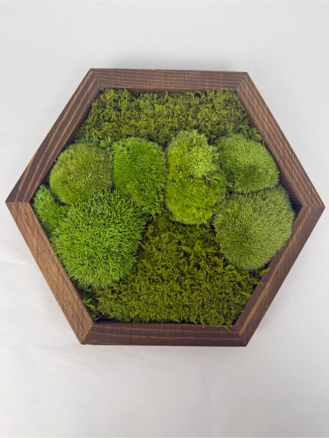 Moss Wall Art - Wood Frame - photo 3