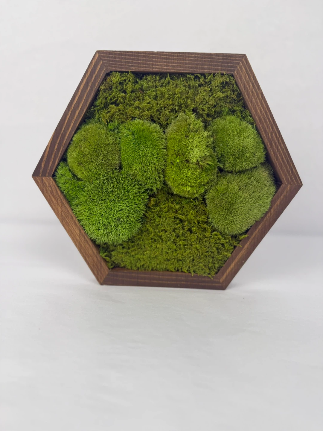 Moss Wall Art - Wood Frame - photo 2