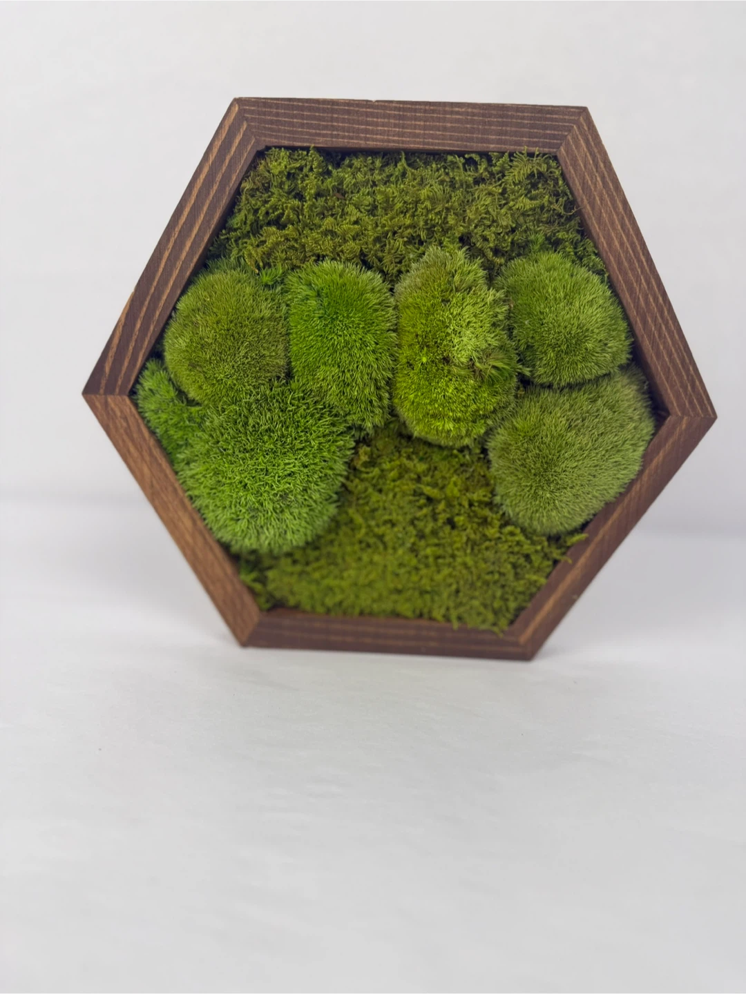 Moss Wall Art - Wood Frame