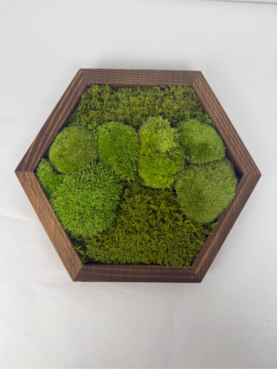 Moss Wall Art - Wood Frame - photo 4