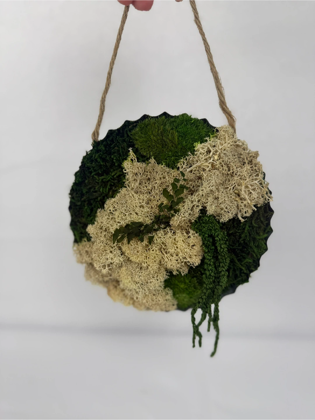 Moss Wall Art Hanging Decor - photo 2