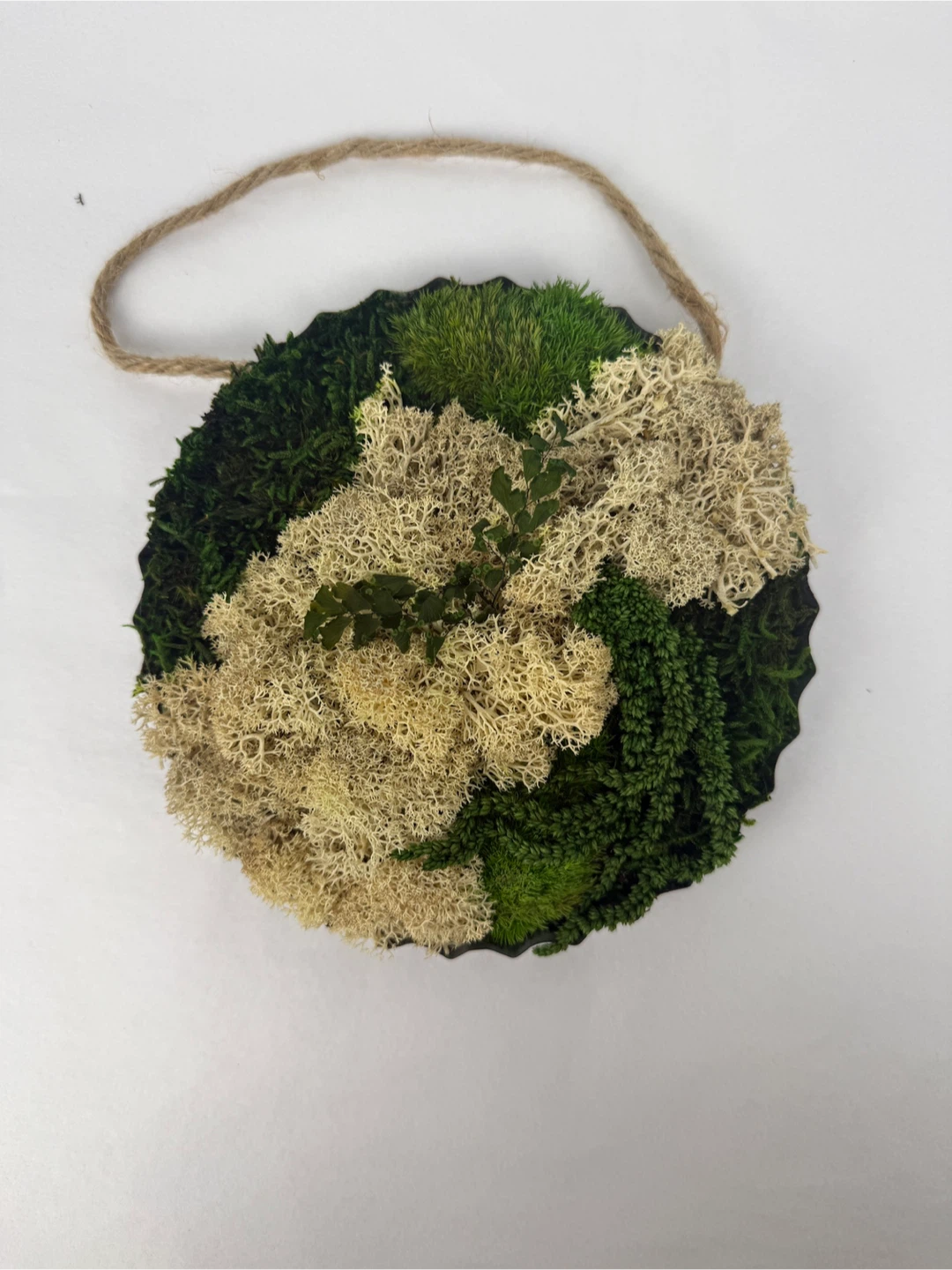 Moss Wall Art Hanging Decor