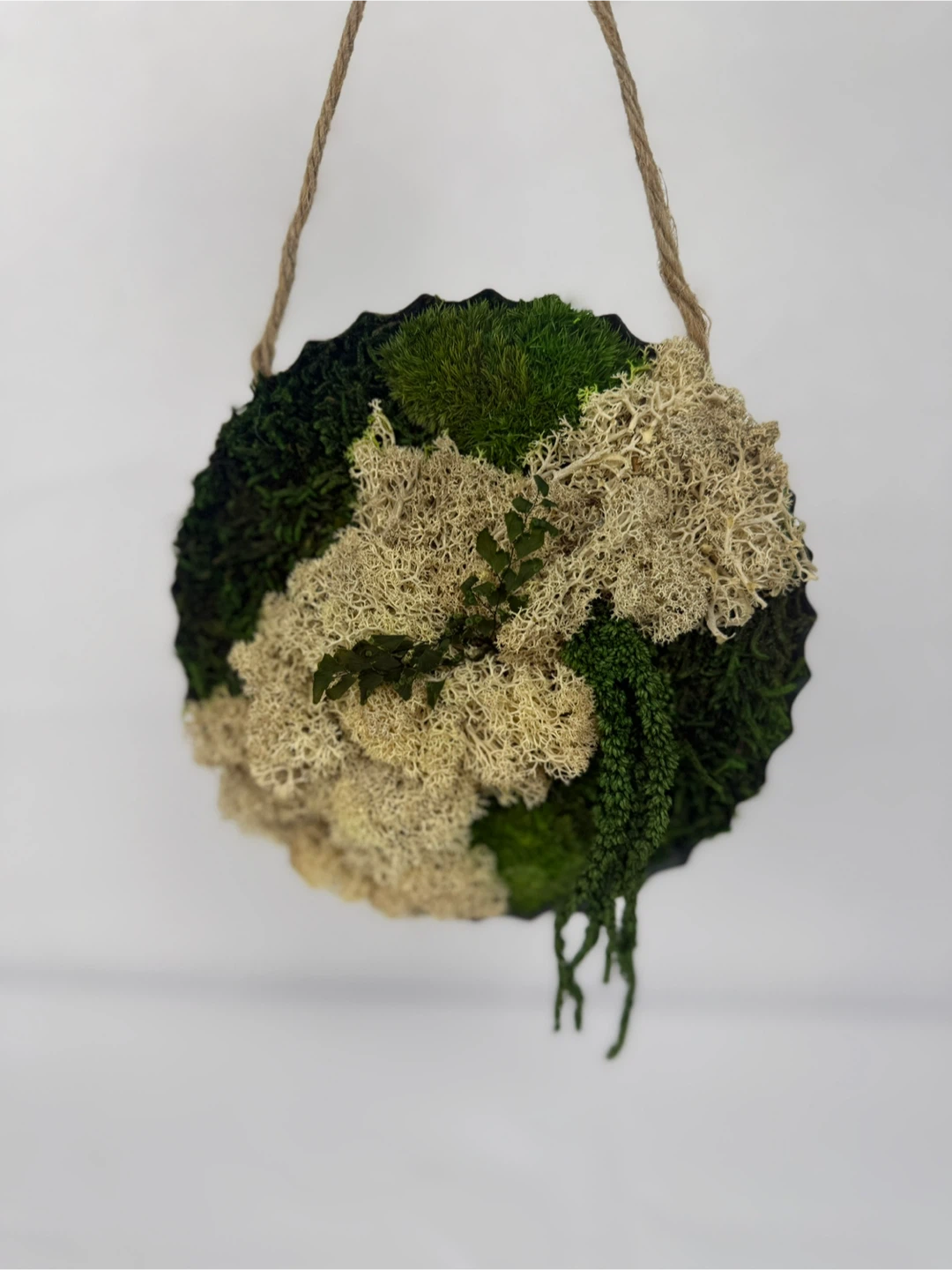 Moss Wall Art Hanging Decor - photo 5