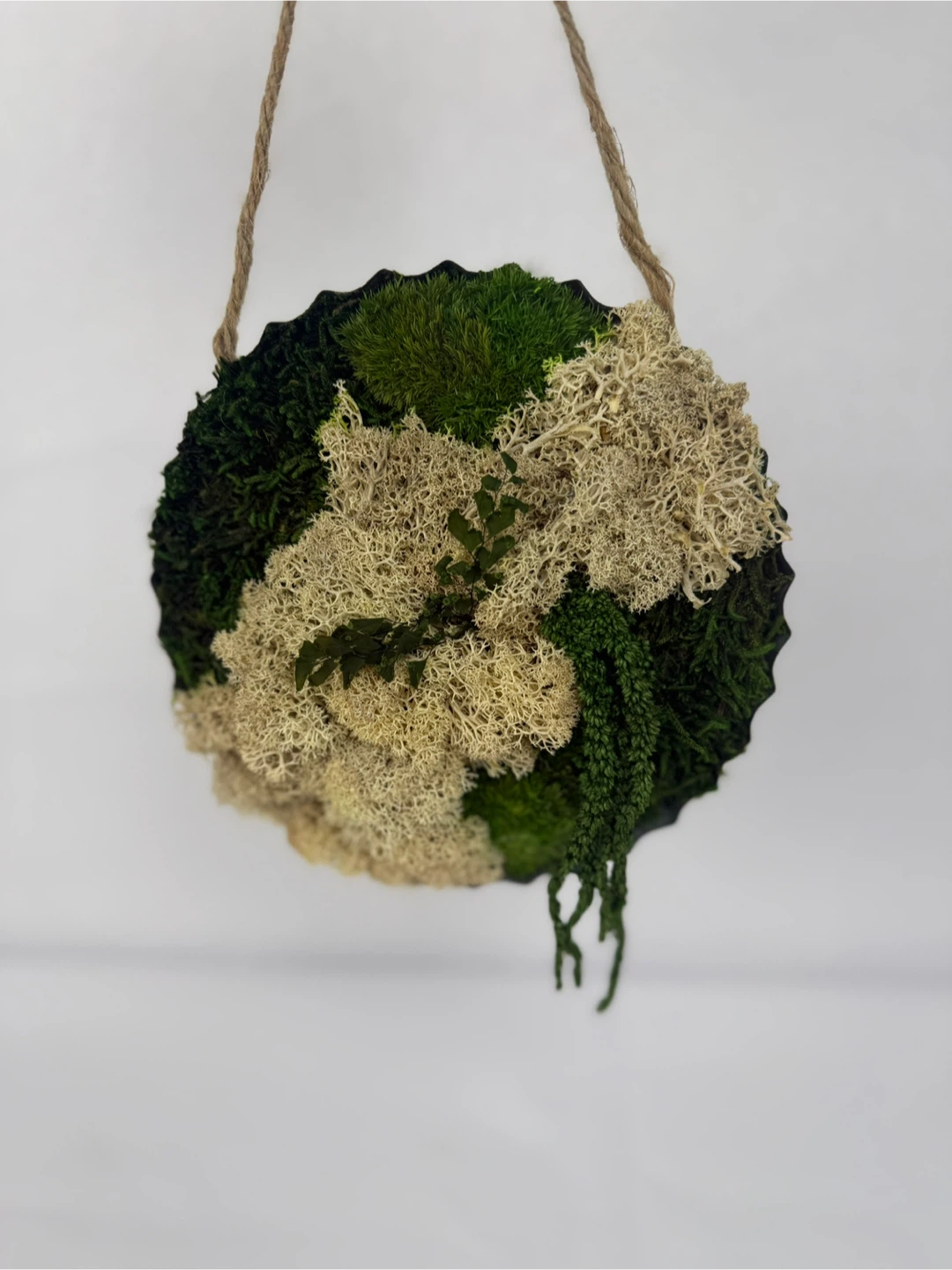 Moss Wall Art Hanging Decor - photo 3