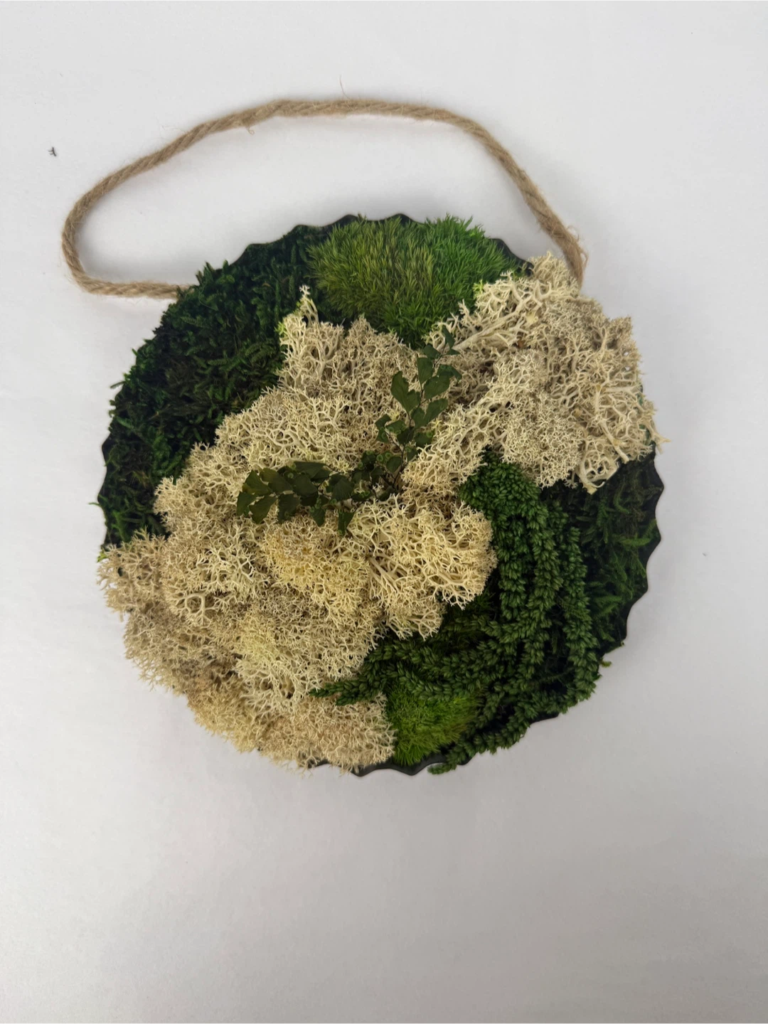 Moss Wall Art Hanging Decor - photo 4